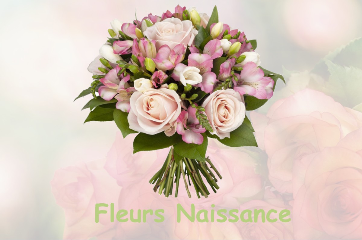 fleurs naissance SAINT-LAURENT-DE-LA-CABRERISSE